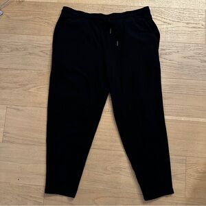 Eileen Fisher Classic Black Apparel pants/Joggers (Large)